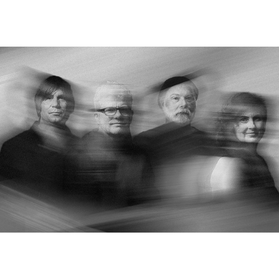More Info for The New Pornographers